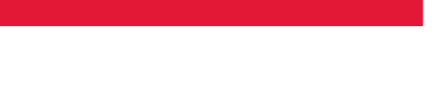 RICE LAKE Logo